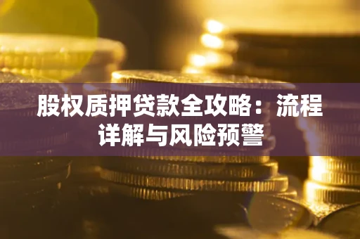 武汉股权质押贷款全攻略：流程详解与风险预警