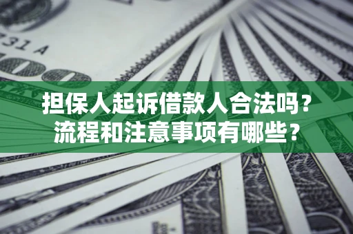 武汉担保人起诉借款人合法吗？流程和注意事项有哪些？