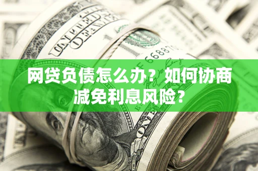 武汉网贷负债怎么办？如何协商减免利息风险？