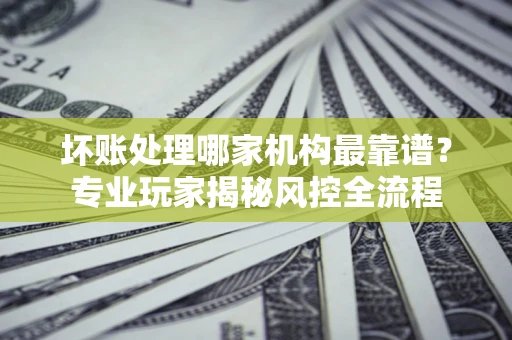 武汉坏账处理哪家机构最靠谱？专业玩家揭秘风控全流程