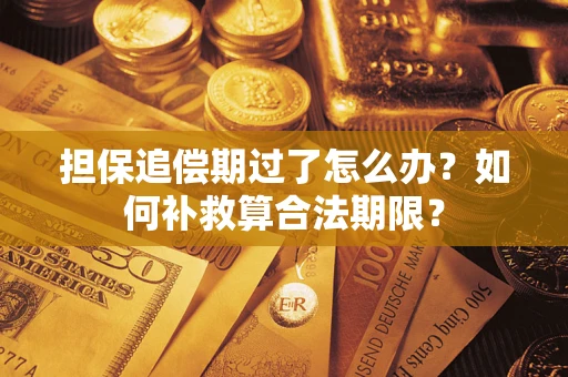 武汉担保追偿期过了怎么办？如何补救算合法期限？