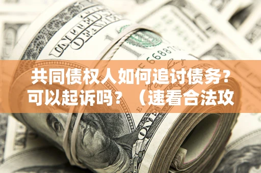 武汉共同债权人如何追讨债务？可以起诉吗？（速看合法攻略）