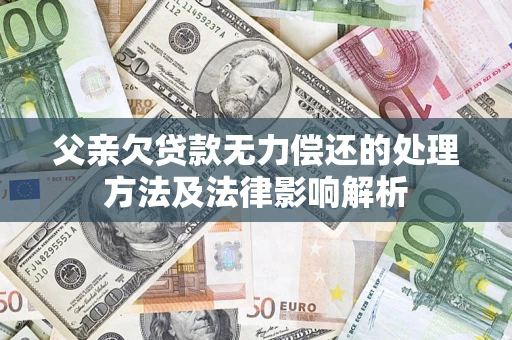 武汉父亲欠贷款无力偿还的处理方法及法律影响解析