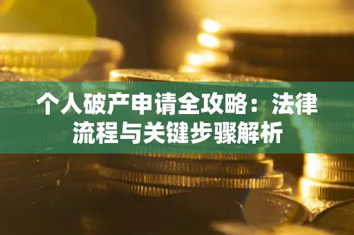 武汉个人破产申请全攻略：法律流程与关键步骤解析